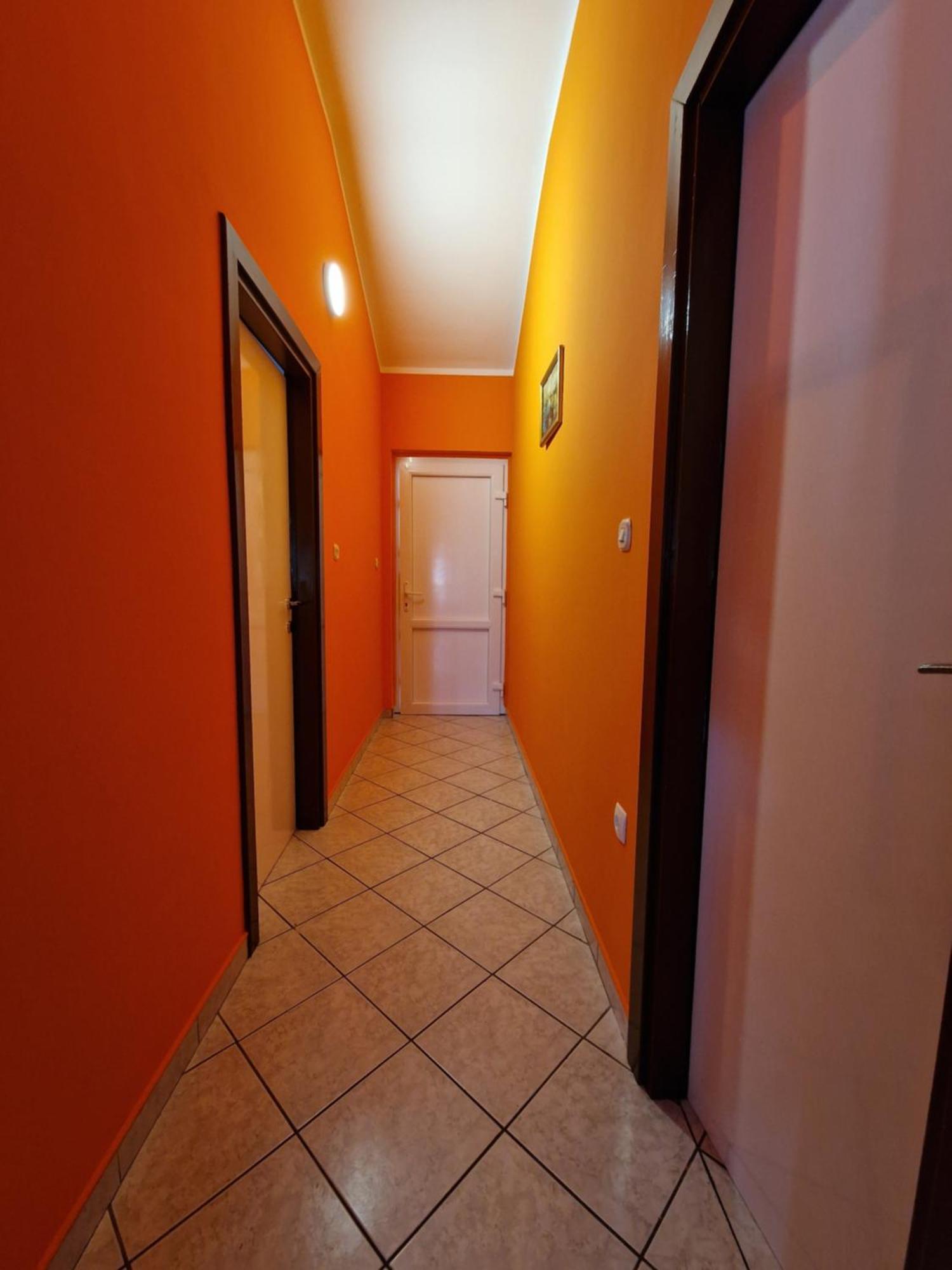 Pool Apartments Knezevic Novaglia Esterno foto